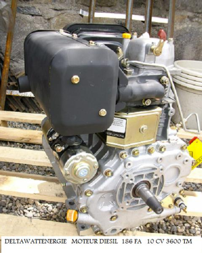 Moteur Diesel 10 CV FA 186 arbre conique Marque Horn.